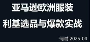 跨境电商选品案例24-25年,聚焦跨境电商选品策略与运营优化,助力卖家挖掘蓝海市场-最全资源库