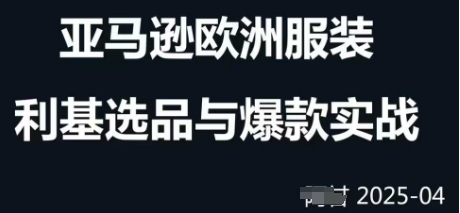 跨境电商选品案例24-25年,聚焦跨境电商选品策略与运营优化,助力卖家挖掘蓝海市场-最全资源库