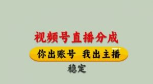 视频号直播分成，全程托管招募，单月轻松变现8k【揭秘】-最全资源库