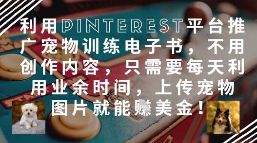 利用Pinterest平台推广宠物训练电子书,不用创作内容,只需要每天利用业余时间,上传宠物图片就能挣美金!-最全资源库