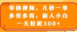 视频审核员，几秒一单，不限时间，不限地点，多做多得，新人小白一天轻松几张+【揭秘】-最全资源库