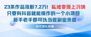 抖音私域项目23条作品涨粉7.2W,私域变现1W-最全资源库