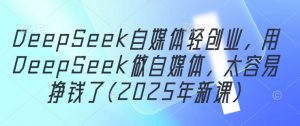 DeepSeek自媒体轻创业，用DeepSeek做自媒体，太容易挣钱了(2025年新课)-最全资源库