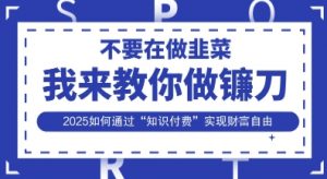 韭菜生涯终结者，我来教你做镰刀，2025如何通过“知识付费”实现财F自由【揭秘】-最全资源库