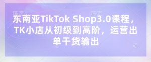 东南亚TikTok Shop3.0课程，TK小店​从初级到高阶，运营出单干货输出-最全资源库