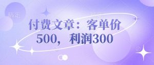 付费文章：客单价500，利润300-最全资源库