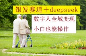 银发赛道+deepseek数字人全域变现，小白也能操作-最全资源库