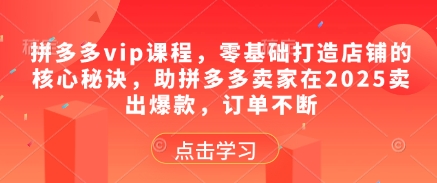 拼多多vip课程,零基础打造店铺的核心秘诀,助拼多多卖家在2025卖出爆款,订单不断-最全资源库