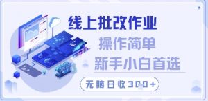 线上批改作业，操作简单新手小白首选，无脑日收300+【揭秘】-最全资源库