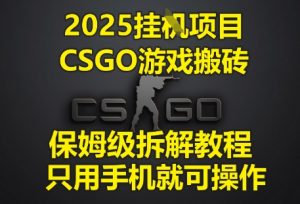 2025挂G项目，CSGO游戏搬砖，保姆级拆解教程，只用手机就可操作【揭秘】-最全资源库