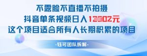 不露脸不直播不拍摄抖音单条视频日入1k+这个项目适合所有人长期积累的项目-最全资源库