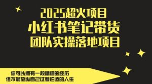 2025超火项目，副业最佳选择，小红书笔记带货团队实操落地项目，，轻松日入5张-最全资源库