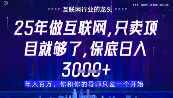 什么！25年你还在找项目做？风口早就变了，卖项目才是稳挣不赔【揭秘】-最全资源库