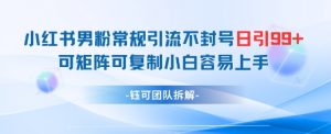 小红书男粉常规引流不封号日引99+变现简单 可矩阵可复制小白容易上手-最全资源库