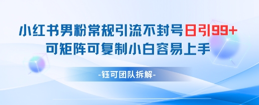 小红书男粉常规引流不封号日引99+变现简单 可矩阵可复制小白容易上手-最全资源库