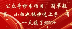 公众号抄书项目，简单粗暴，小白也能快速上手，有人一天搞了1k+-最全资源库