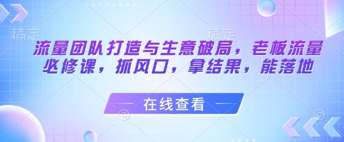 流量团队打造与生意破局,老板流量必修课,抓风口,拿结果,能落地-最全资源库