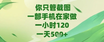 你只管截图,一部手机在家做,苹果安卓都可以,一天5张+【揭秘】-最全资源库
