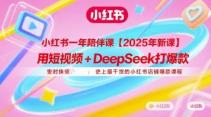 小红书一年陪伴课【2025年新课】，用短视频+deepSeek打爆款，史上最干货的小红书店铺爆款课程-最全资源库