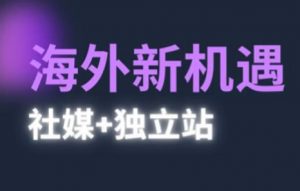 2025出海新机遇(社媒+独立站)，海外新机遇，实现独立站的高效运营与出海-最全资源库