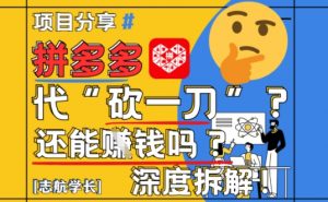 【2025最新】拼多多代坎助力项目深度拆解：还能挣钱吗?全流程玩法-最全资源库