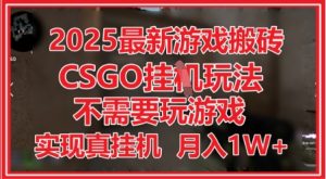 2025最新游戏搬砖,CSGO挂G,不需要玩游戏,实现真挂G,月入1W+【揭秘】-最全资源库