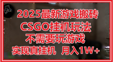 2025最新游戏搬砖,CSGO挂G,不需要玩游戏,实现真挂G,月入1W+【揭秘】-最全资源库