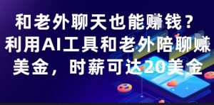 和老外聊天也能挣钱？利用AI工具和老外陪聊挣美金，时薪可达20刀-最全资源库