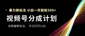 视频号分成计划,全网最暴力玩法,新手一天也能轻松5张+-最全资源库