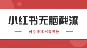 小红书只要你有同行就能获客，独家野路子获客玩法，暴力截流【揭秘】-最全资源库
