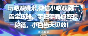 玩游戏挣米,微信小游戏刷广告全攻略,手把手教你变现秘籍,小白当天见效-最全资源库