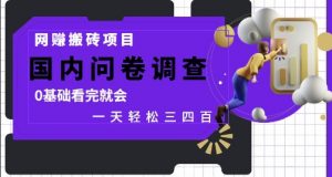 网创搬砖项目,国内问卷调查,0基础看完就会 一天轻松三四张,靠谱副业干就完了【揭秘】-最全资源库