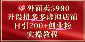 外面卖5980开设拼多多虚拟店铺:单日引流200+创业付费粉实战教程-最全资源库