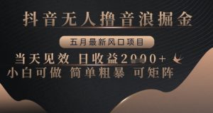 抖音无人撸音浪掘金,五月最新风口项目,当天见效,日收益多张,小白可做简单粗暴可矩阵【揭秘】-最全资源库
