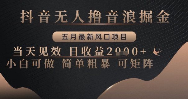 抖音无人撸音浪掘金,五月最新风口项目,当天见效,日收益多张,小白可做简单粗暴可矩阵【揭秘】-最全资源库