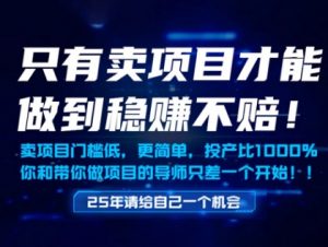 只有卖项目才能做到稳挣不赔，门槛低，更简单，你也可以年入百个W【揭秘】-最全资源库