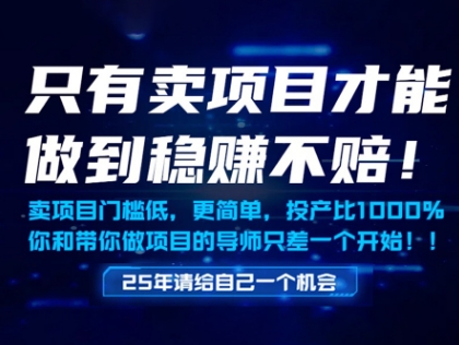 只有卖项目才能做到稳挣不赔，门槛低，更简单，你也可以年入百个W【揭秘】-最全资源库