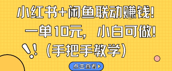 小红书+闲鱼联动挣钱，一单10元，小白可做-最全资源库