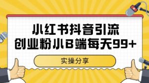 小红书抖音创业粉，小B端粉自热，日引99+的一个玩法【揭秘】-最全资源库