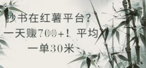 抄书在小红薯平台？平均一单30米，一天收益几张！-最全资源库