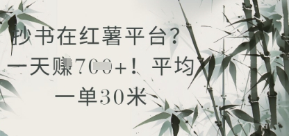 抄书在小红薯平台？平均一单30米，一天收益几张！-最全资源库