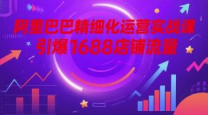 阿里巴巴精细化运营实战课，引爆1688店铺流量-最全资源库