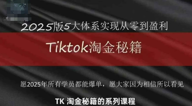 TikTok跨境2025淘金秘籍,2025TikTok从0到盈利变现-最全资源库