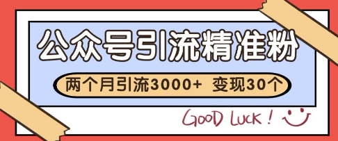 公众号精准粉引流玩法,2个月3000+精准粉,变现30个W【揭秘】-最全资源库