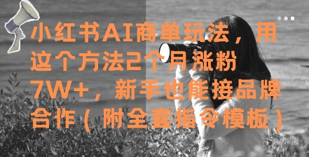 小红书AI商单玩法，用这个方法2个月涨粉7W+，新手也能接品牌合作(附全套指令模板)-最全资源库