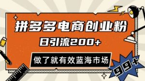 拼多多引流电商创业粉，日引200+，可矩阵放大，做了就有效【揭秘】-最全资源库