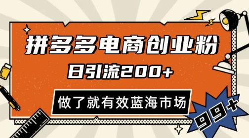拼多多引流电商创业粉，日引200+，可矩阵放大，做了就有效【揭秘】-最全资源库