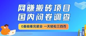 网创搬砖项目,国内问卷调查,小白轻松上手,一天三四张的也不难,干就完了【揭秘】-最全资源库