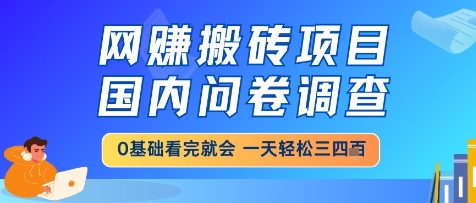 网创搬砖项目,国内问卷调查,小白轻松上手,一天三四张的也不难,干就完了【揭秘】-最全资源库