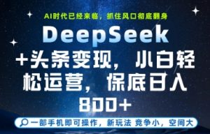 DeepSeek+头条变现，保姆级教学，小白轻松上手，日入8张+【揭秘】-最全资源库